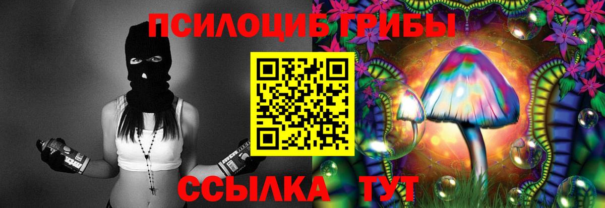 закладки  Вход с VPN  Ефремов  Псилоцибиновые грибы Psilocybine cubensis 